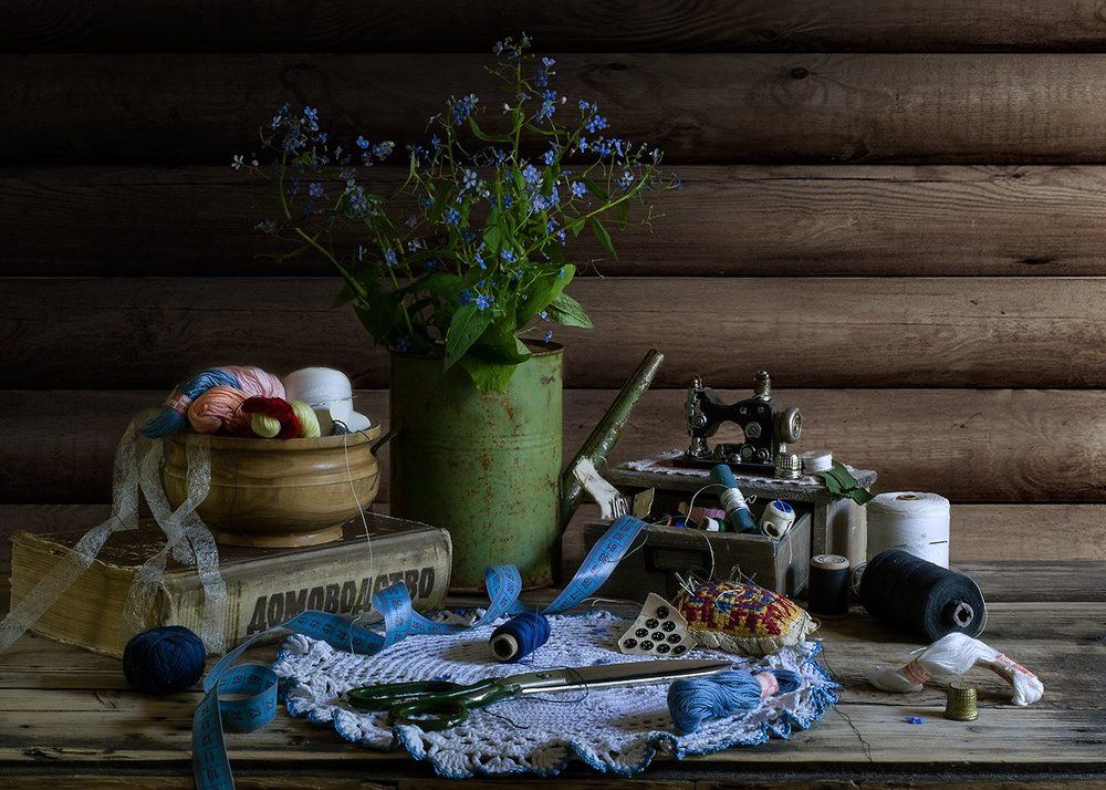 Домоводство