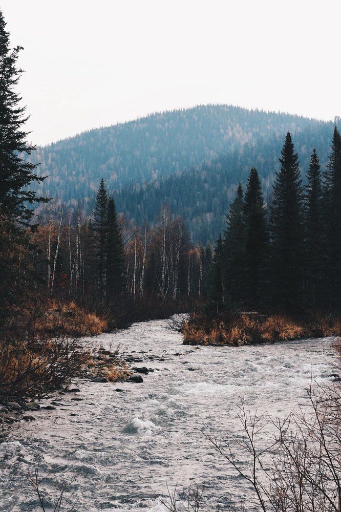 Дорога на Поднебесные Зубья,г. Междуреченск