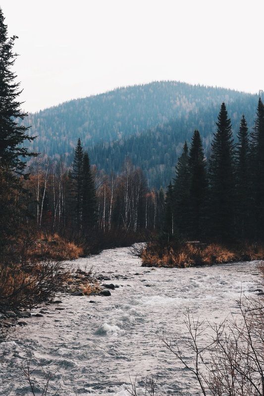 Валерия, Russia