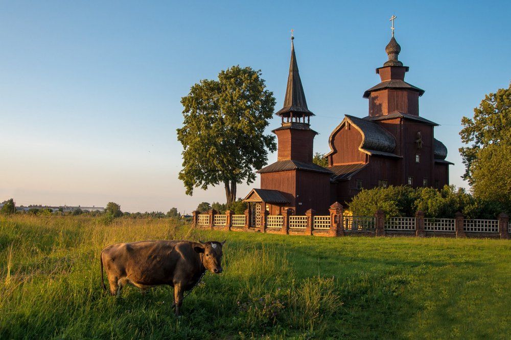 Лето в деревне