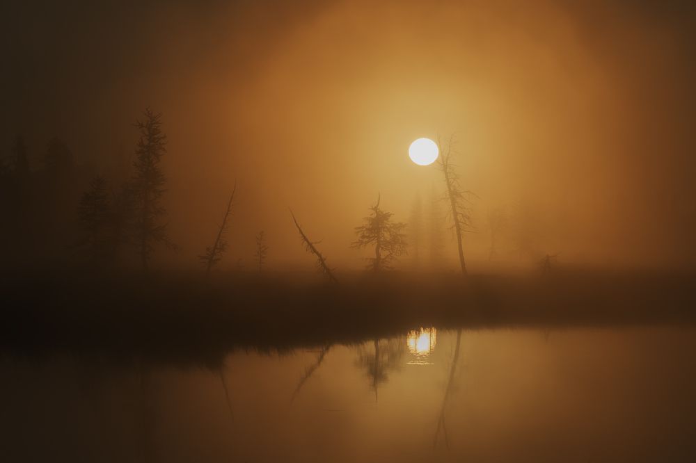 Photograph by Камиль Нуреев