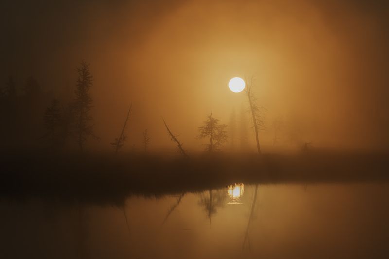 Камиль Нуреев, Russia