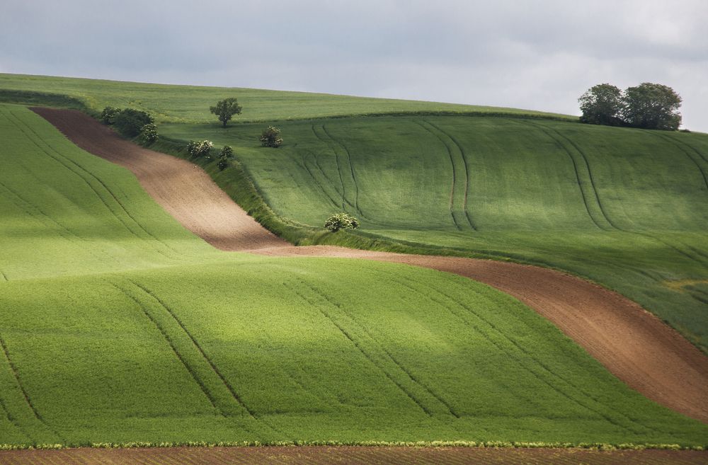 Линия на моравском поле