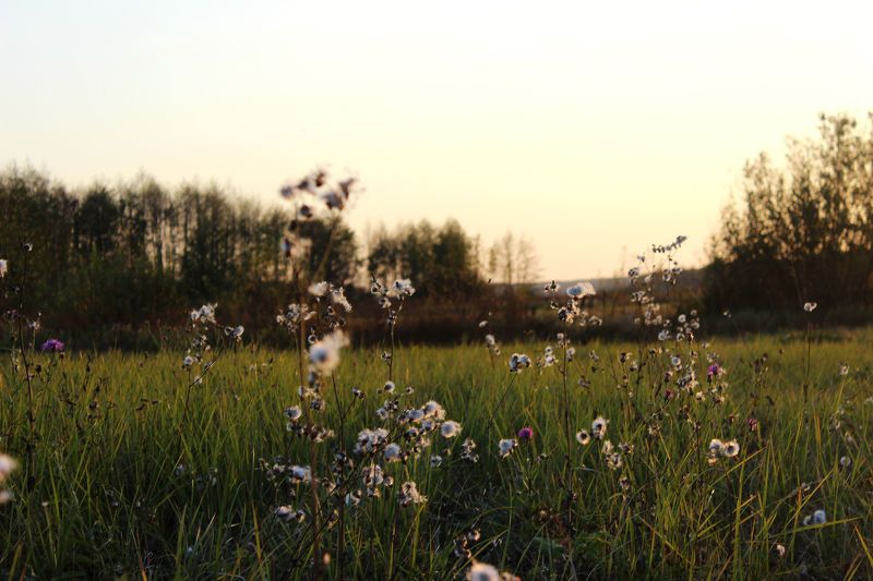 Наталья, Russia