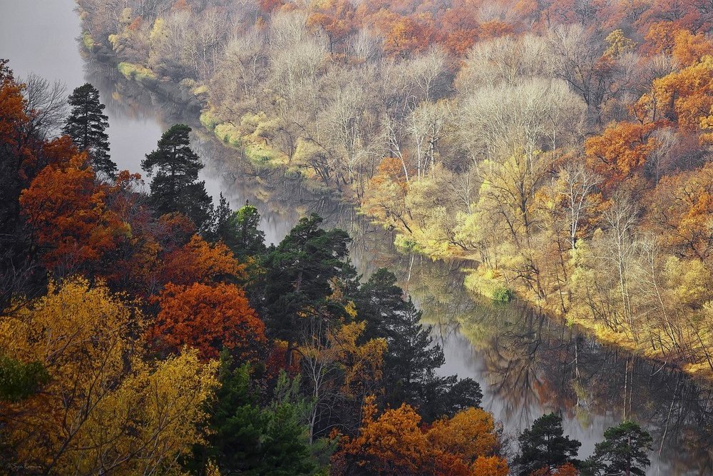 Над рекой...
