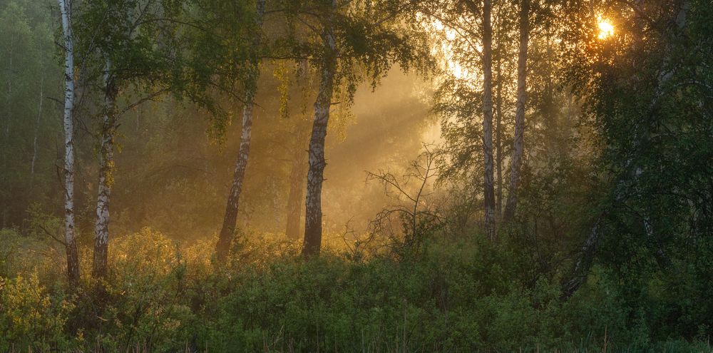 Пробуждение