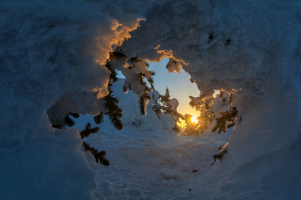 Портал в морозную свежесть