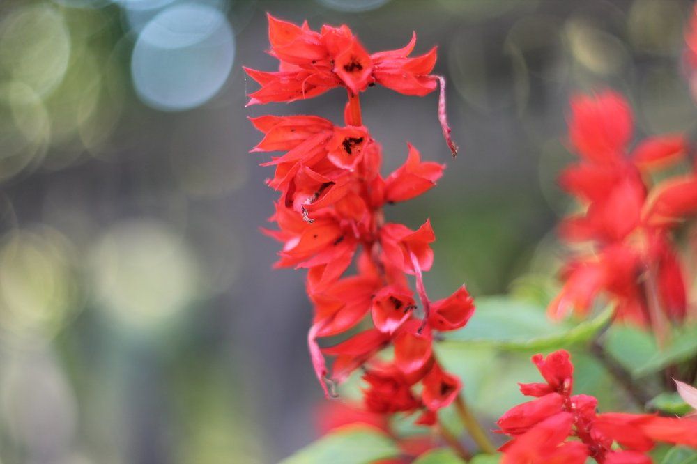 Photograph by Леонид