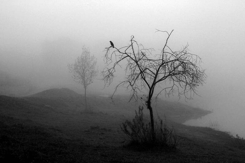 Ирина Лепихина, Russia