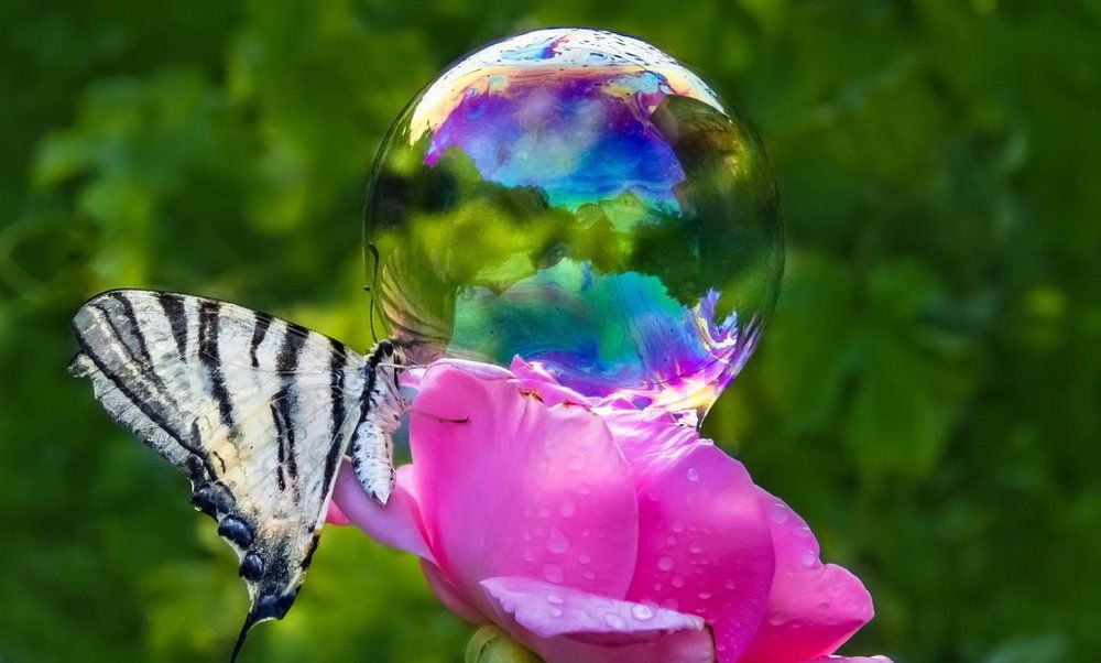 Летние истории