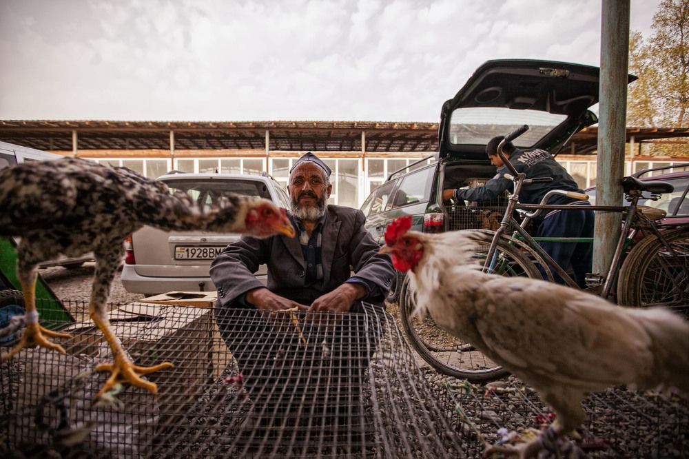 Продавец петухов...Душанбе