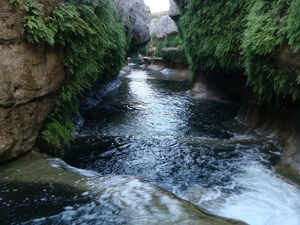 Photograph by albert hook