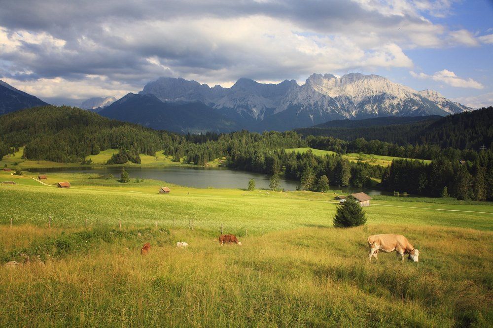 Баварские альпы