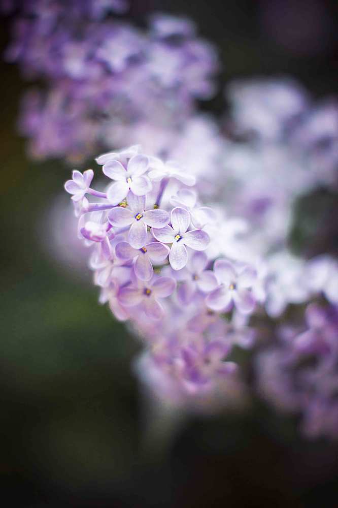 Photograph by Иван