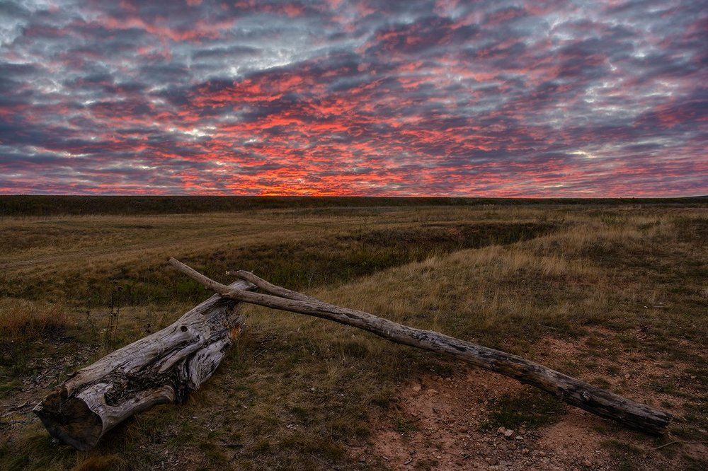 Костер рассвета