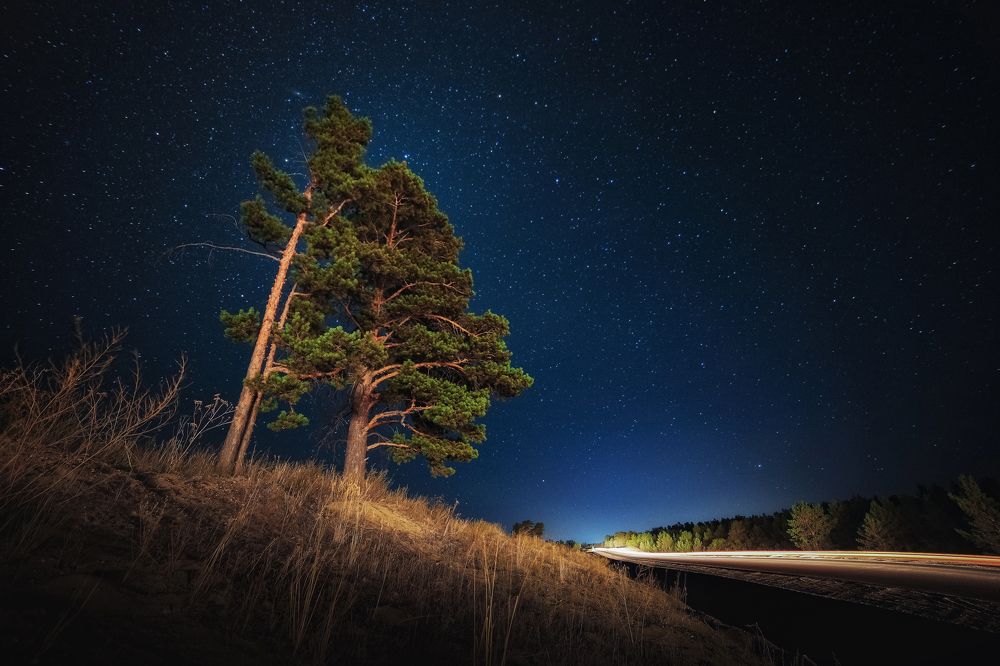 Дорога к звездам