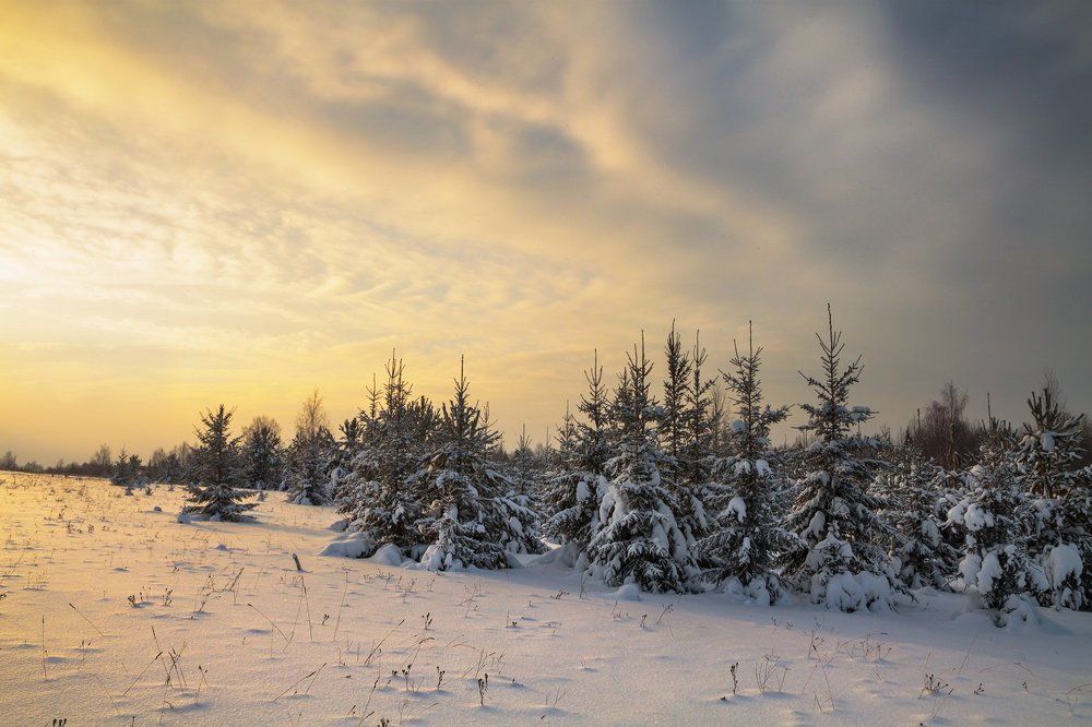 Теплый зимний закат