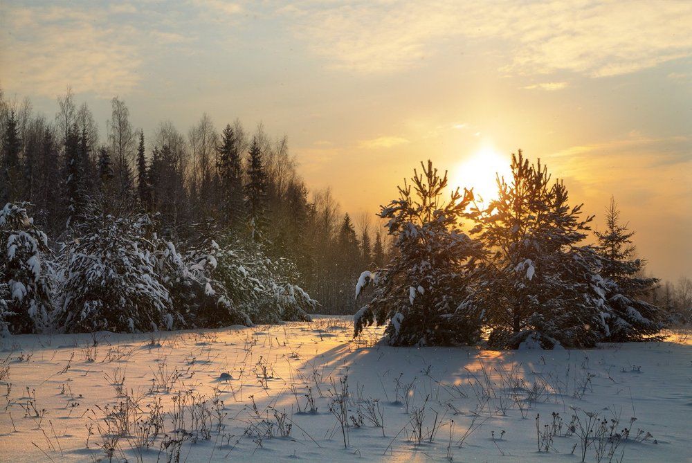 Снегопад и солнце