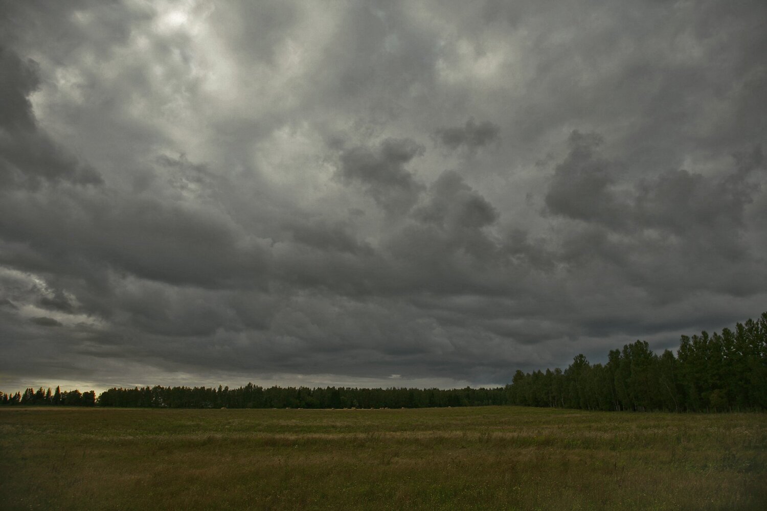 поле