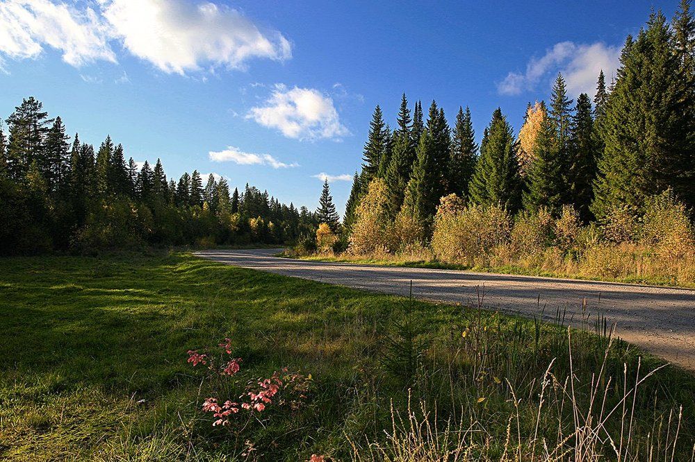 Осенний пейзаж