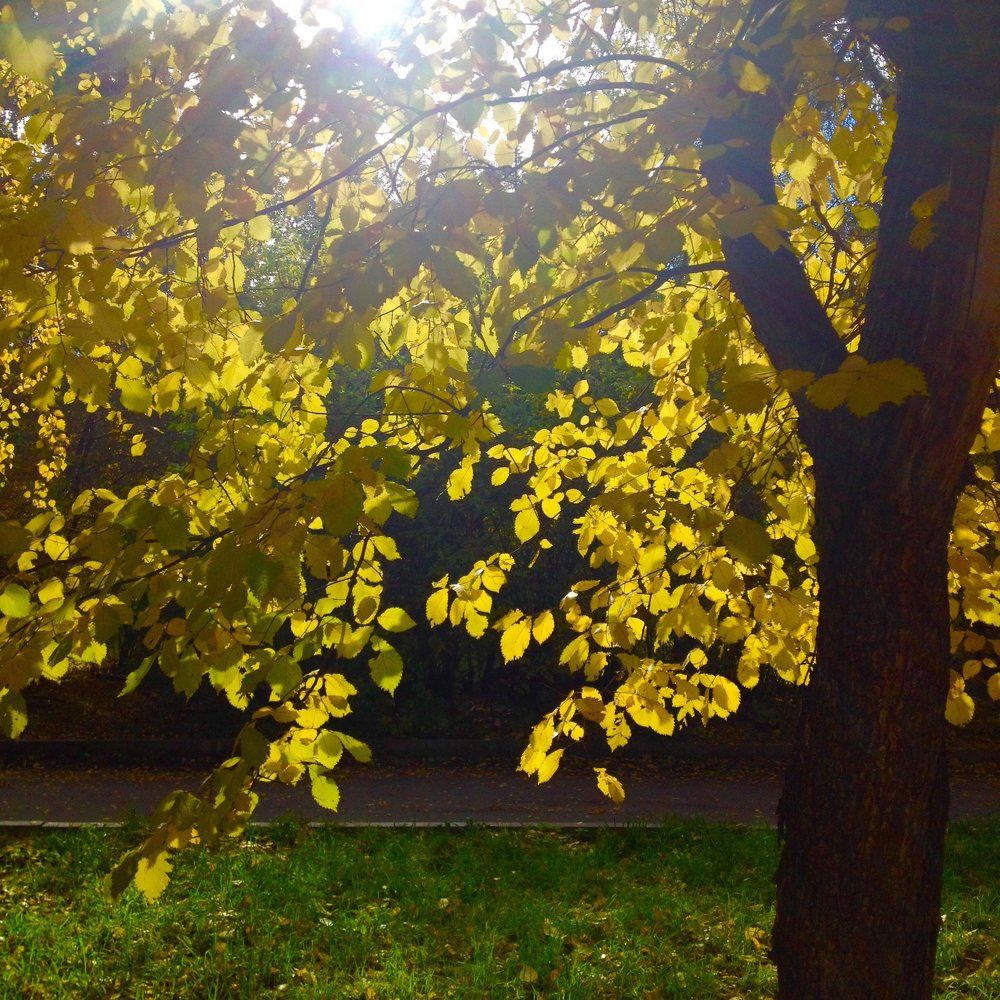 Матушка Осень