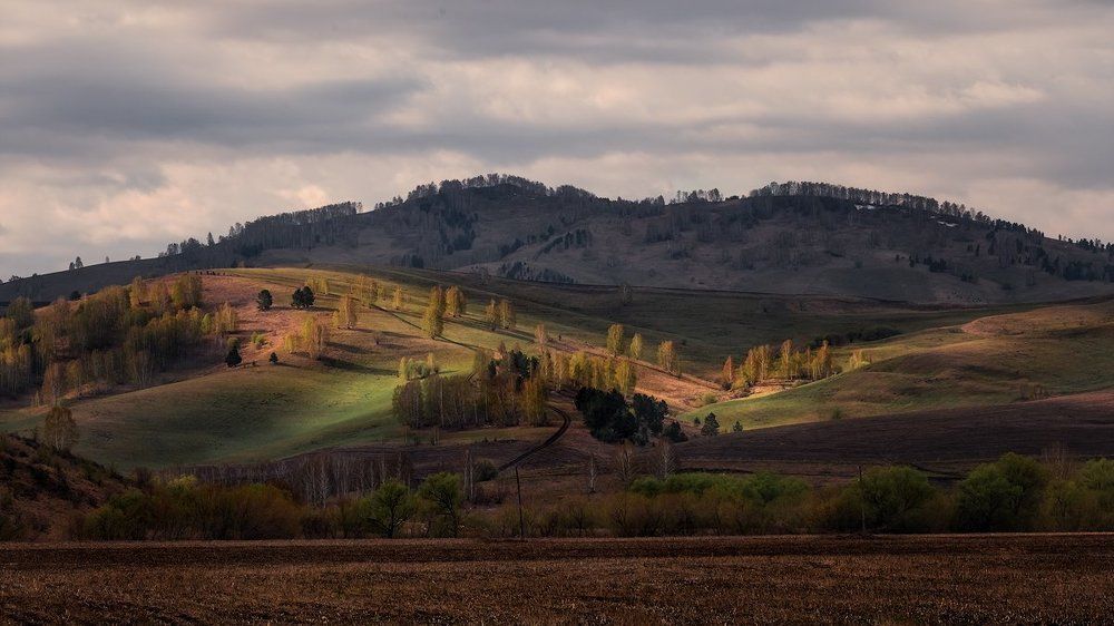 весеннее пробуждение...