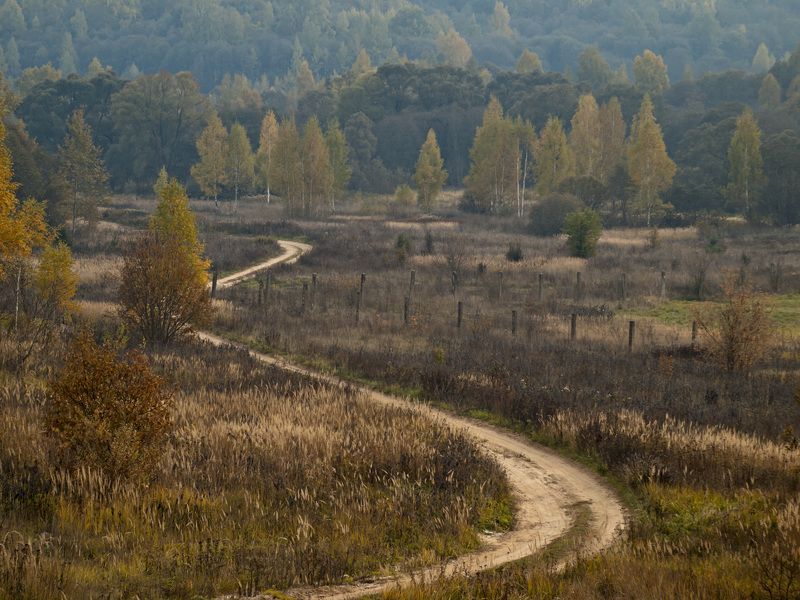 Мурочкин Юрий, Russia