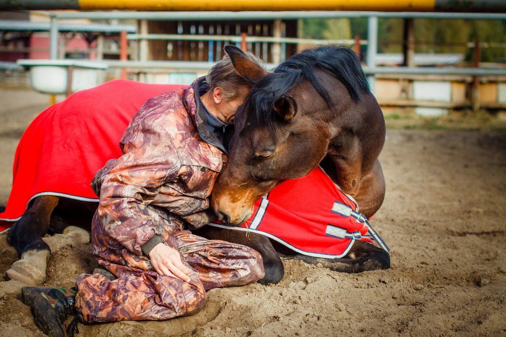Когда твоя "девушка" больна....