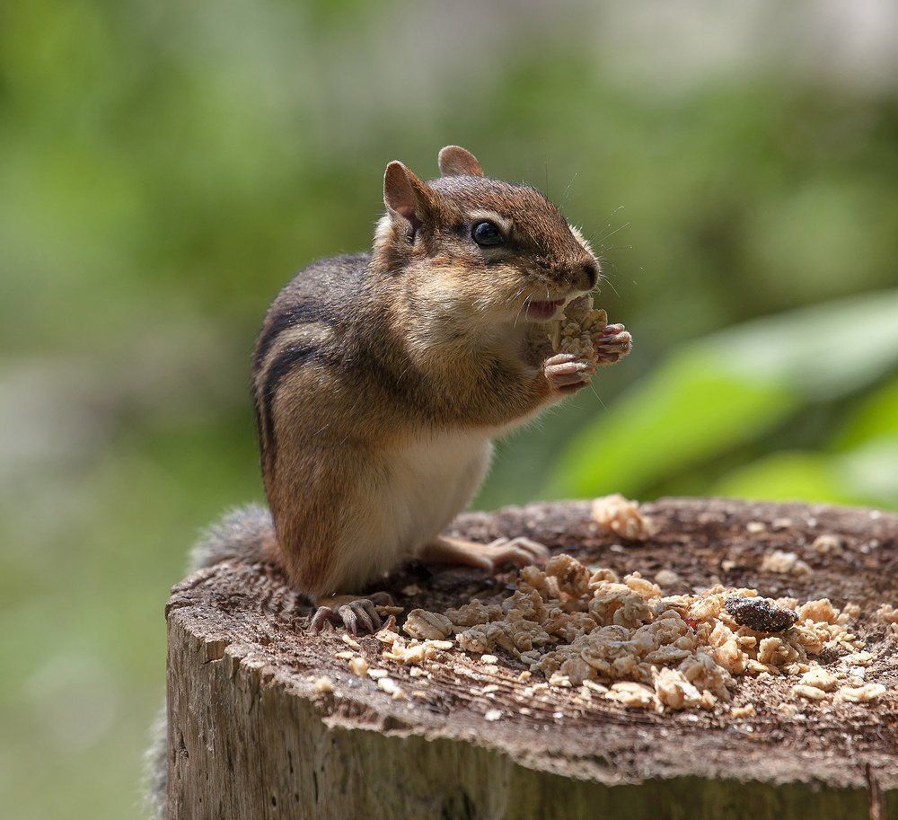 Так вы говорите Таити...Зачем...?