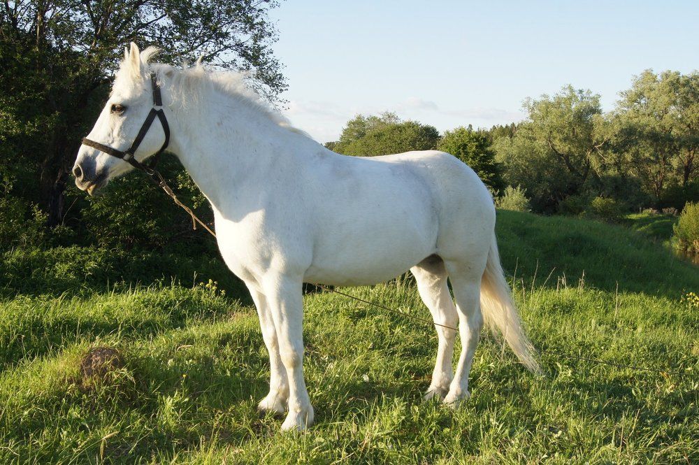 То что вдохновляет