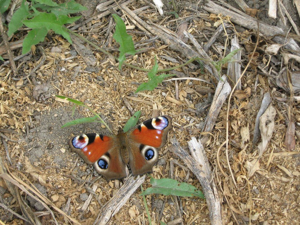 Photograph by Дмитрий