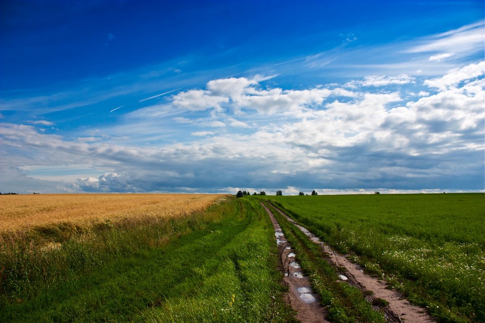 Photograph by Павел Кузьмин