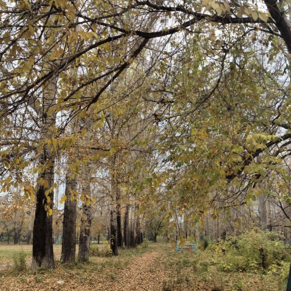 Осенняя суета.