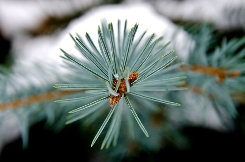 Vladimir Yuminov, Russia