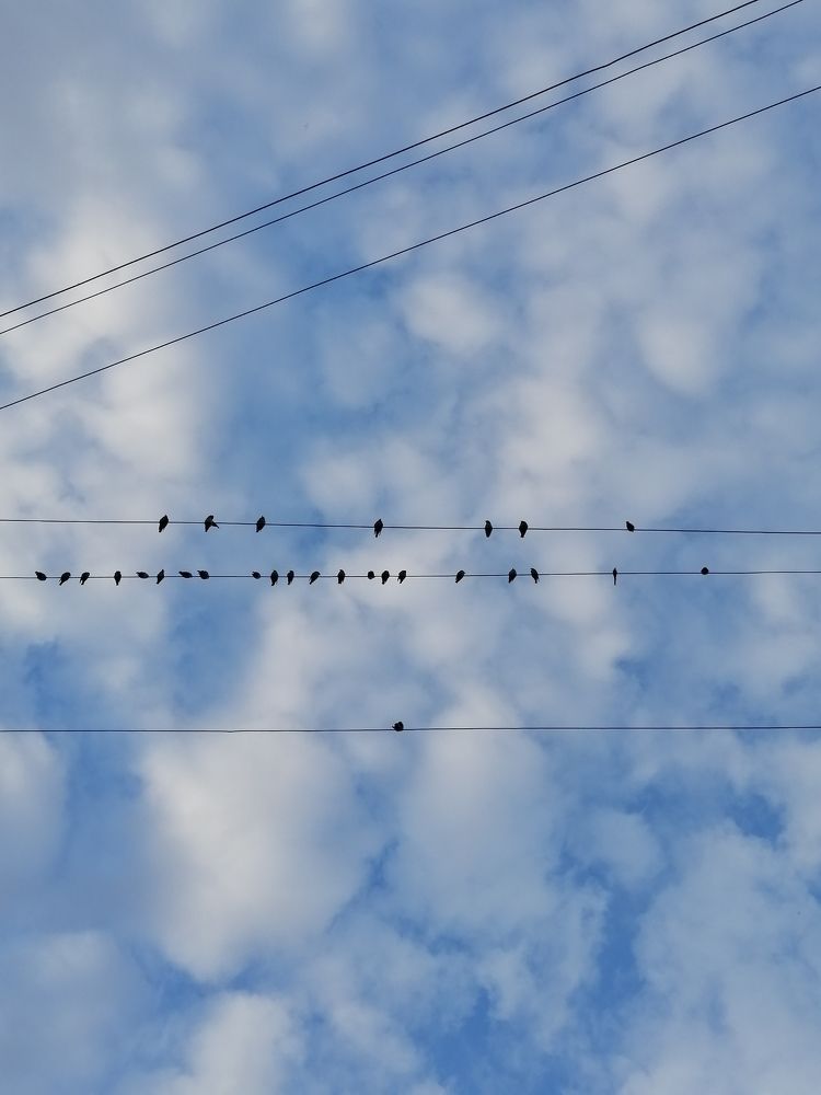 Photograph by Юлия Гагарина