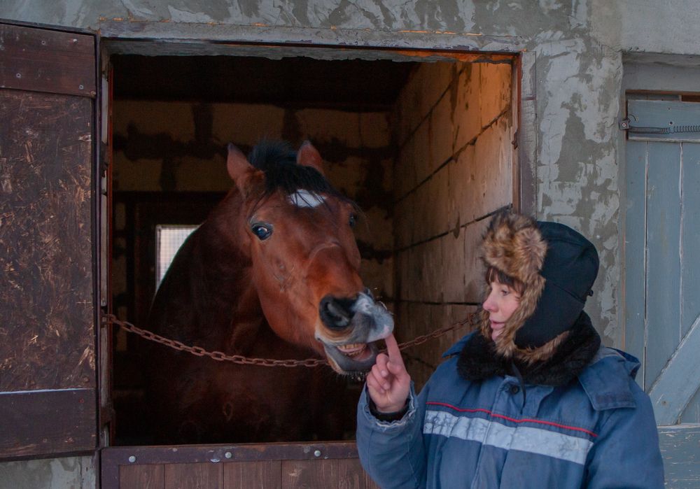 Photograph by Михаил Фенелонов