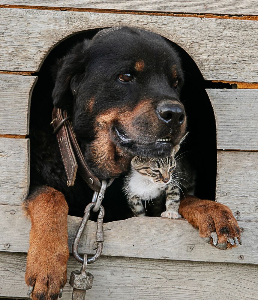 Photograph by Михаил Фенелонов