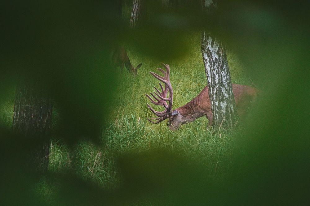 Photograph by Jan Musil