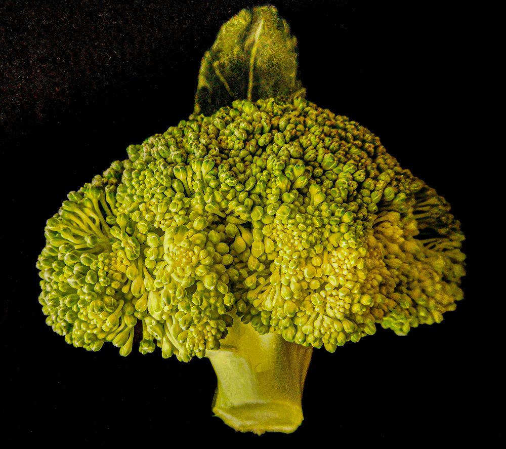 Photograph by HECTOR ANTONIO RAUCHS