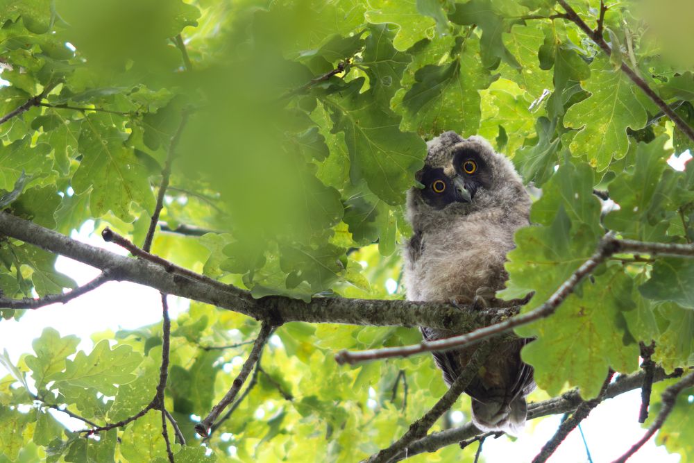 Photograph by Елена Чистова