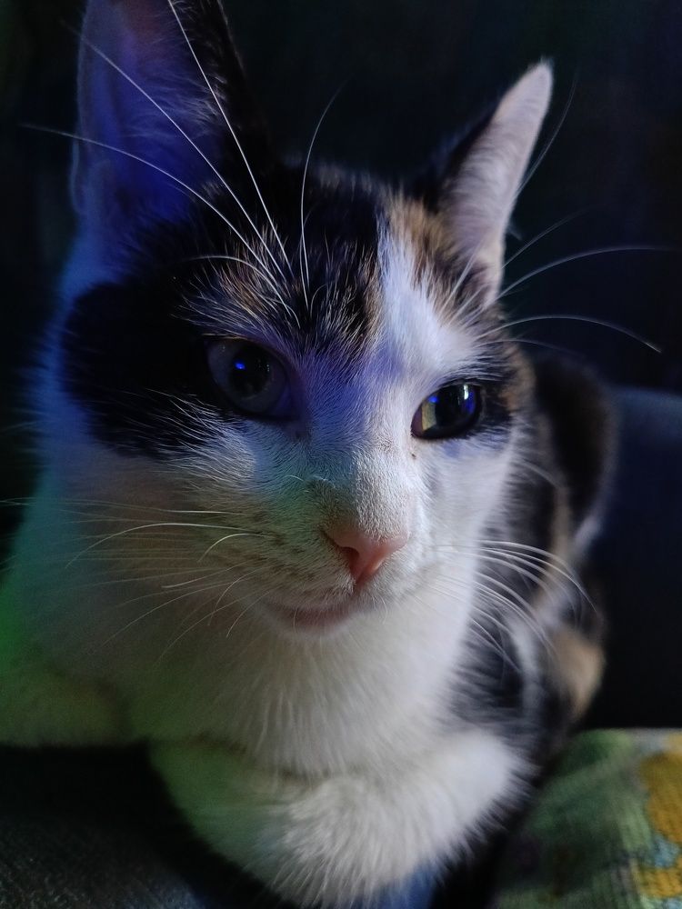 Эх,сейчас бы рыбов. А нет вот это вот всё