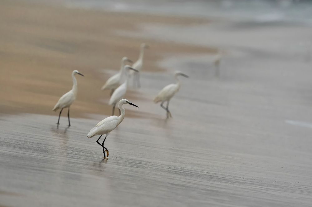 Photograph by Алексей Романов