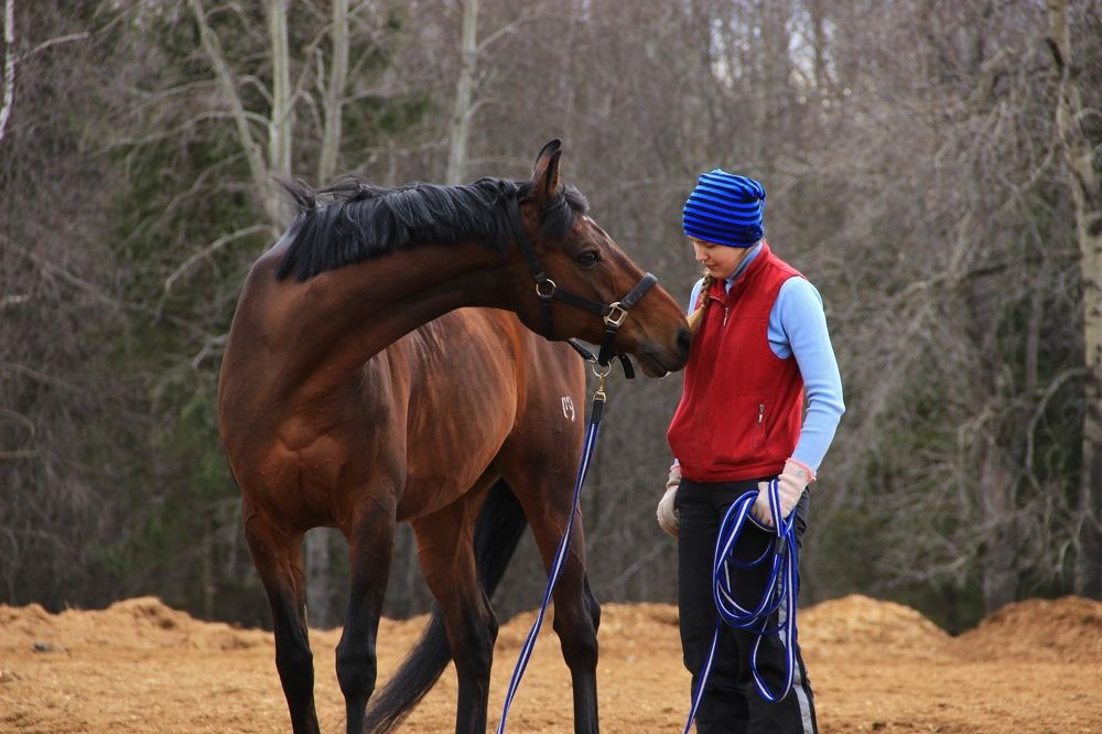 Фотография автора кузовлева мария анатольевна