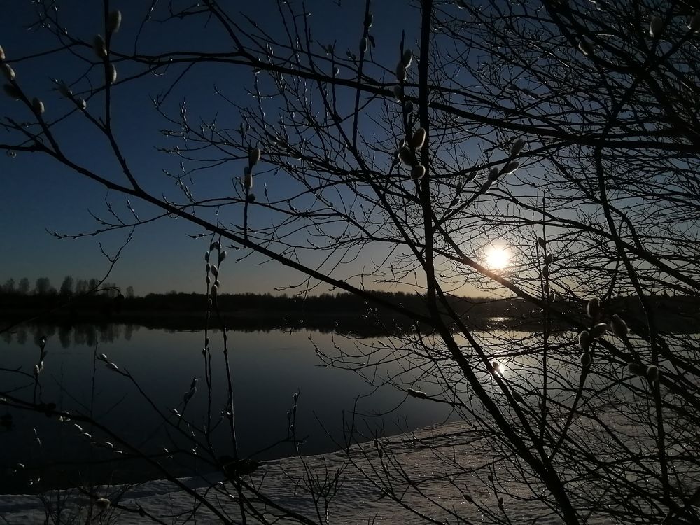 Photograph by Анна Архангельская