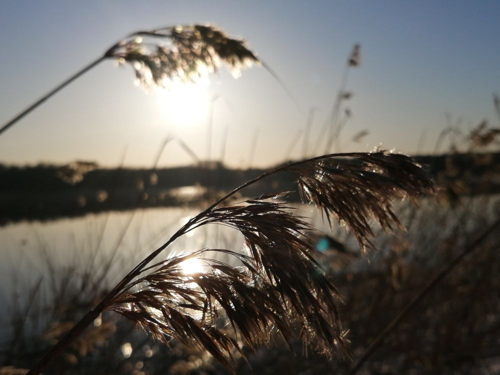 Photograph by Анна Архангельская
