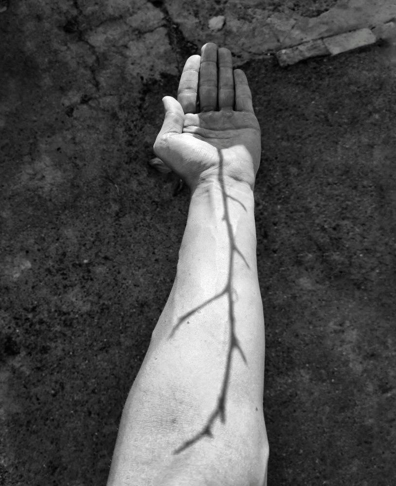 Photograph by Keyvan Hosine pour