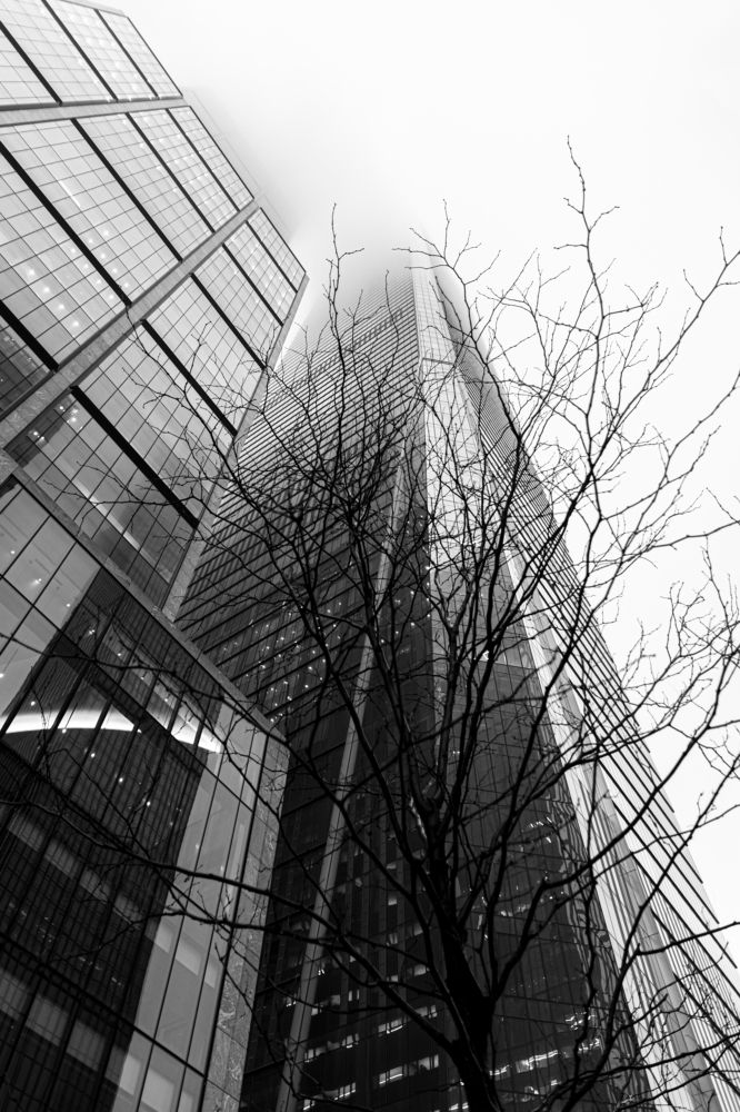 Photograph by Verónica Sigal Geier