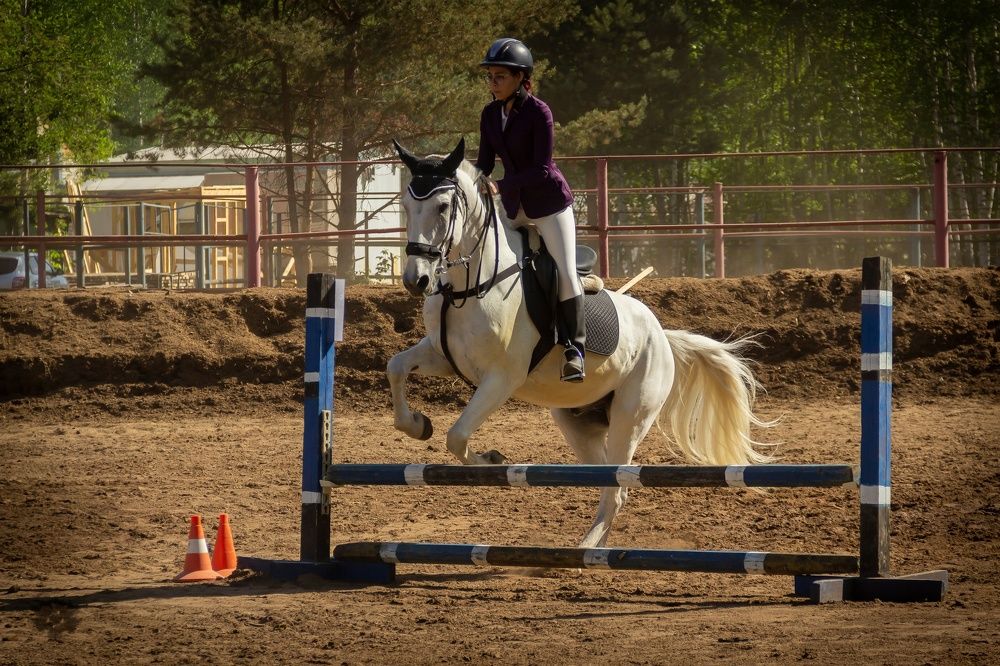 Фотография автора кузовлева мария анатольевна