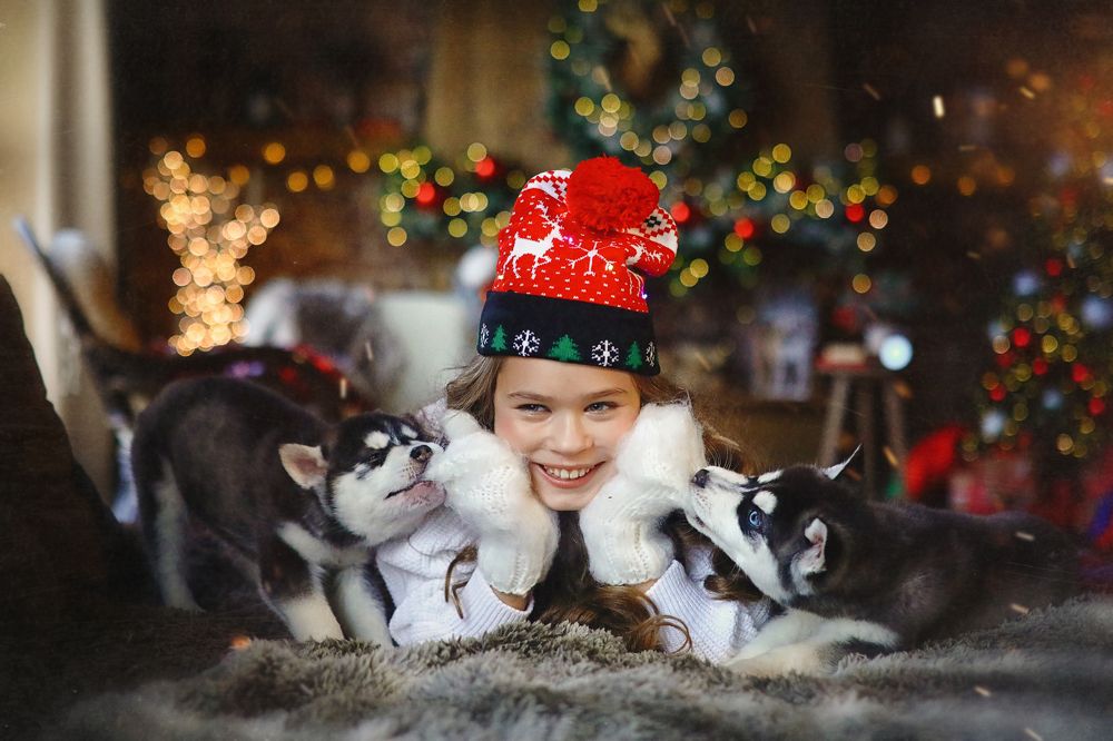 Фотография автора Наталья Законова