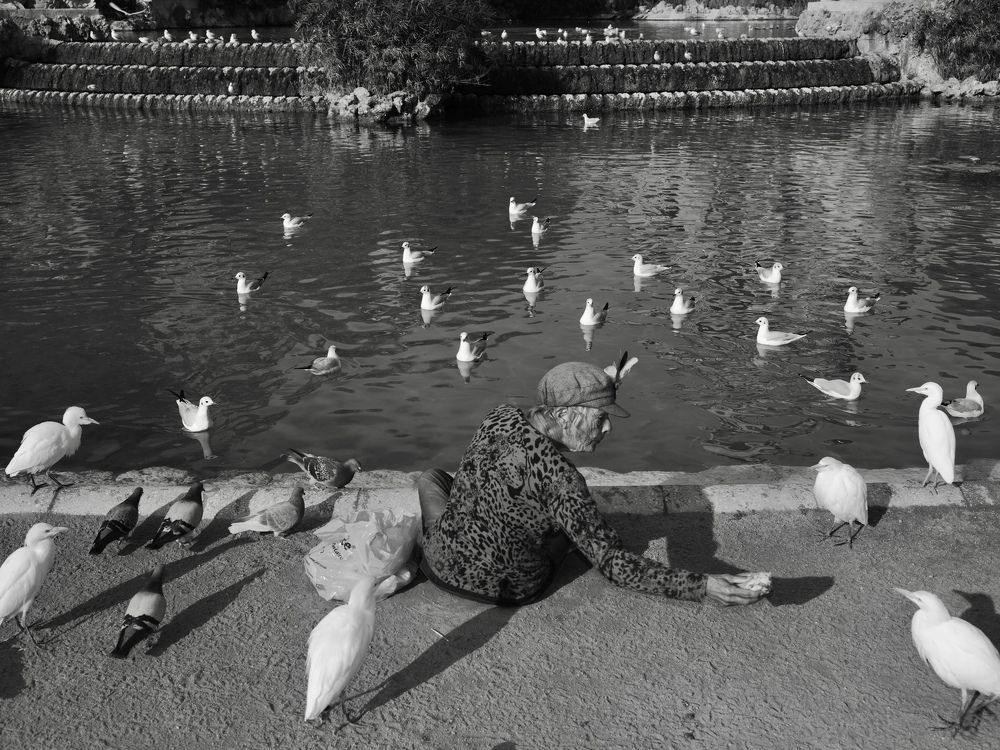 Photograph by Alfonso Bricegno